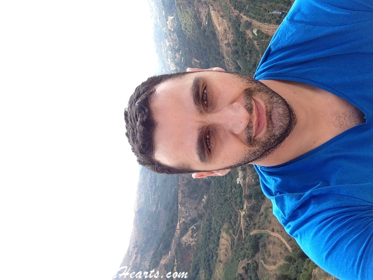 Ronytos